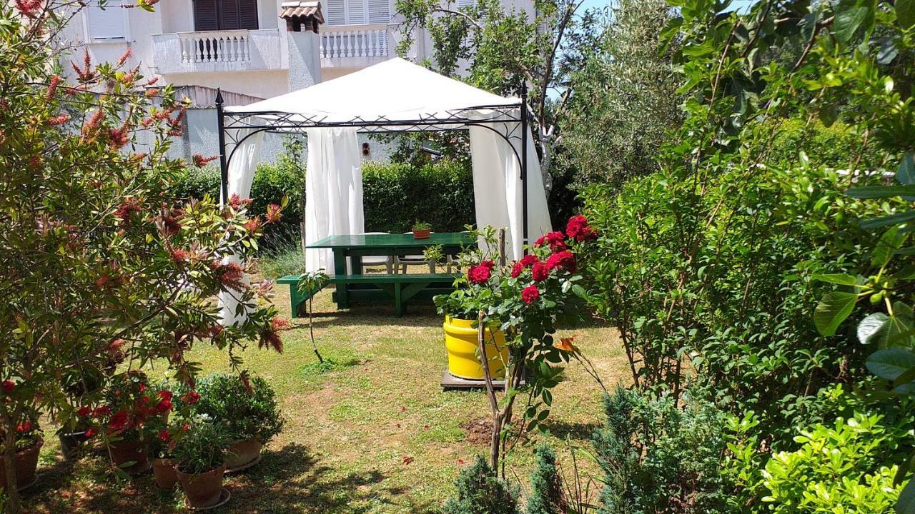 Apartment Manda Zadar Exteriör bild